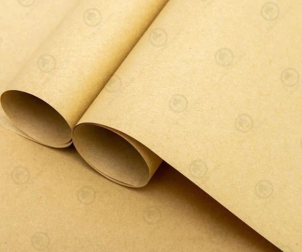 La economía circular provocada por la fabricación de papel Kraft