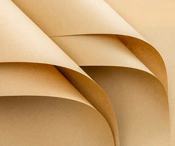 ¡100% reciclable! ¿Cómo se produce el papel de embalaje?
