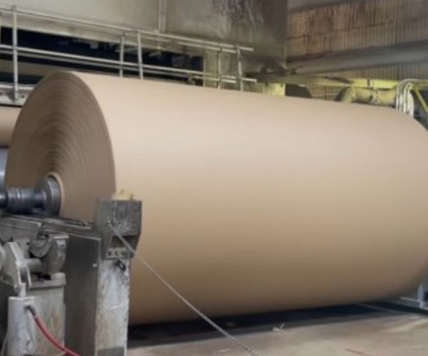 Explorando el panorama actual y las tendencias futuras de la industria del papel