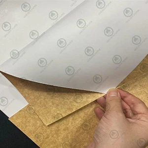 Tablero recubierto Kraft trasero