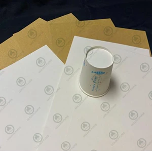 Papel base Cupstock sin recubrimiento