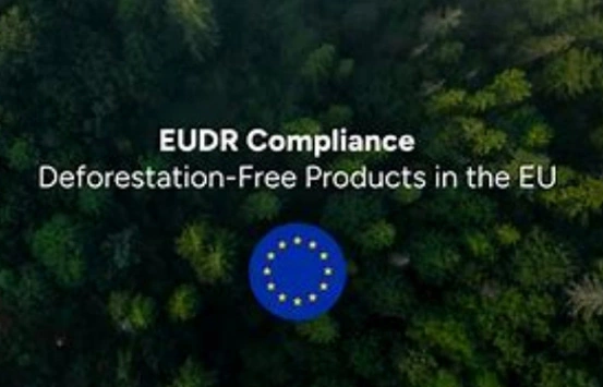 EUDR-Nuevas oportunidades para las empresas papeleras chinas en el mercado europeo