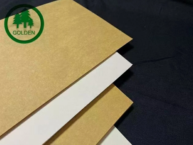 'Reemplazar plástico con papel' impulsa una nueva demanda, y las empresas papeleras aceleran el diseño de la capacidad de producción de papel especial