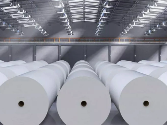 Industria de la fabricación de papel de enero a noviembre de 2024