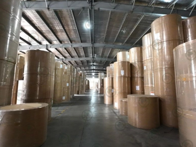 En 2024, la producción de papel y cartón de China superó los 150 millones de toneladas, ¡estableciendo un récord histórico!