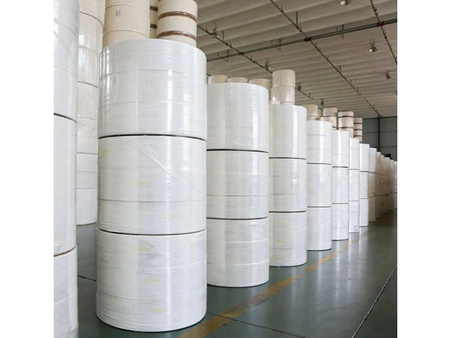 Informe del mercado mundial del papel higiénico: Tendencias clave y pronóstico de crecimiento