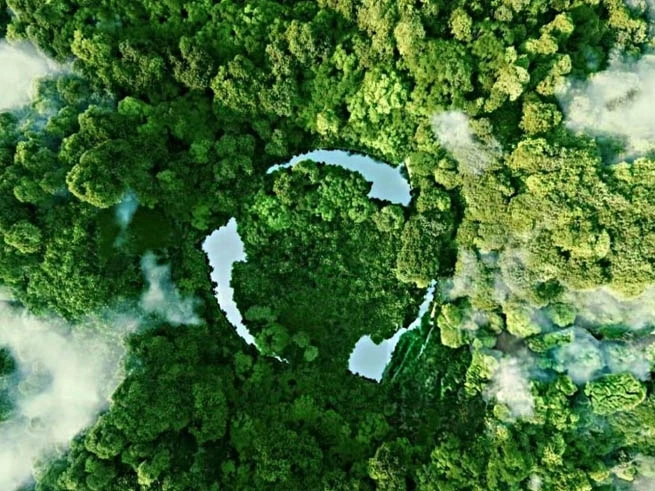 Tendencias de exportación de papel 2025 en América del Sur