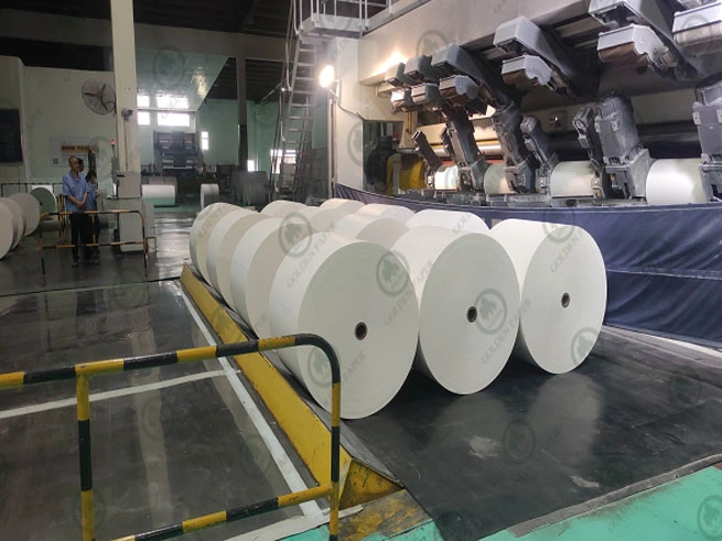 EL PAPEL DE ORO brilla en la evolución de la industria mundial del papel