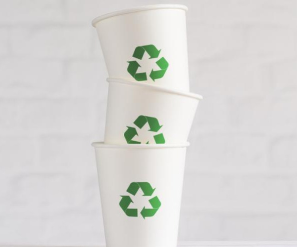 Una guía completa de los tipos de papel utilizados en los envases de alimentos