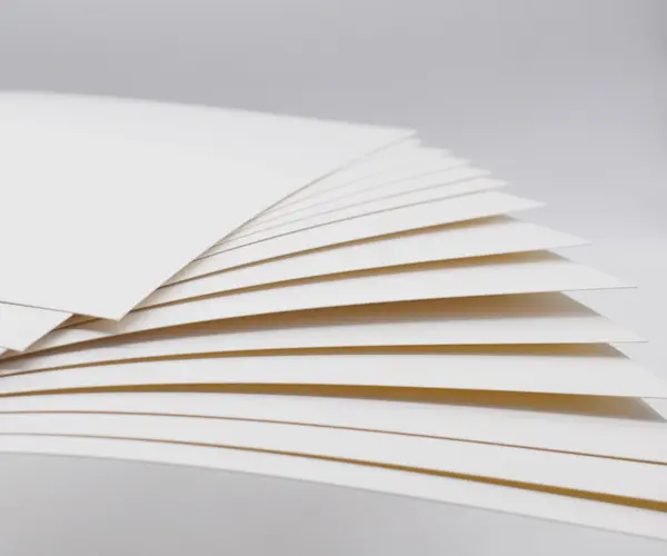 Sulfato blanqueado sólido (SBS) frente a TABLERO DE CAJA PLEGABLE (FBB): ¿Cuál es la diferencia en cartón de embalaje?