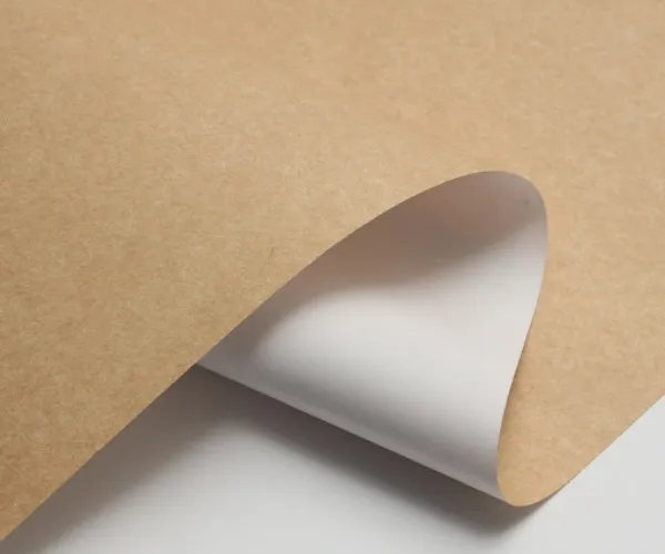 Por qué CKB se está volviendo cada vez más popular