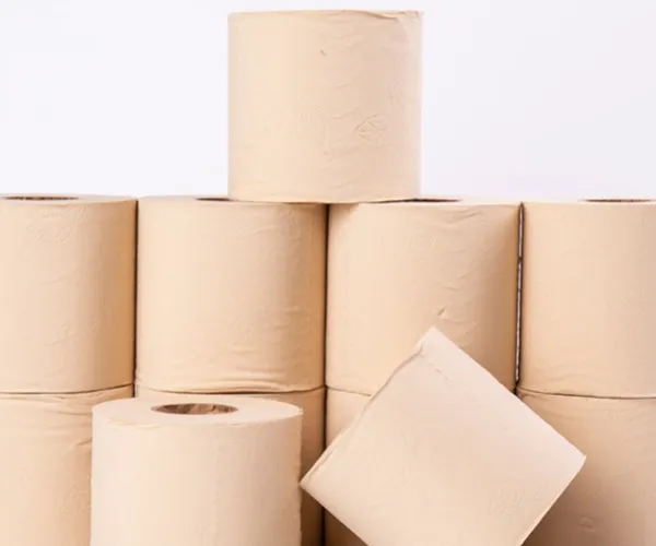 Suministro de pulpa de bambú y sistema de control de calidad