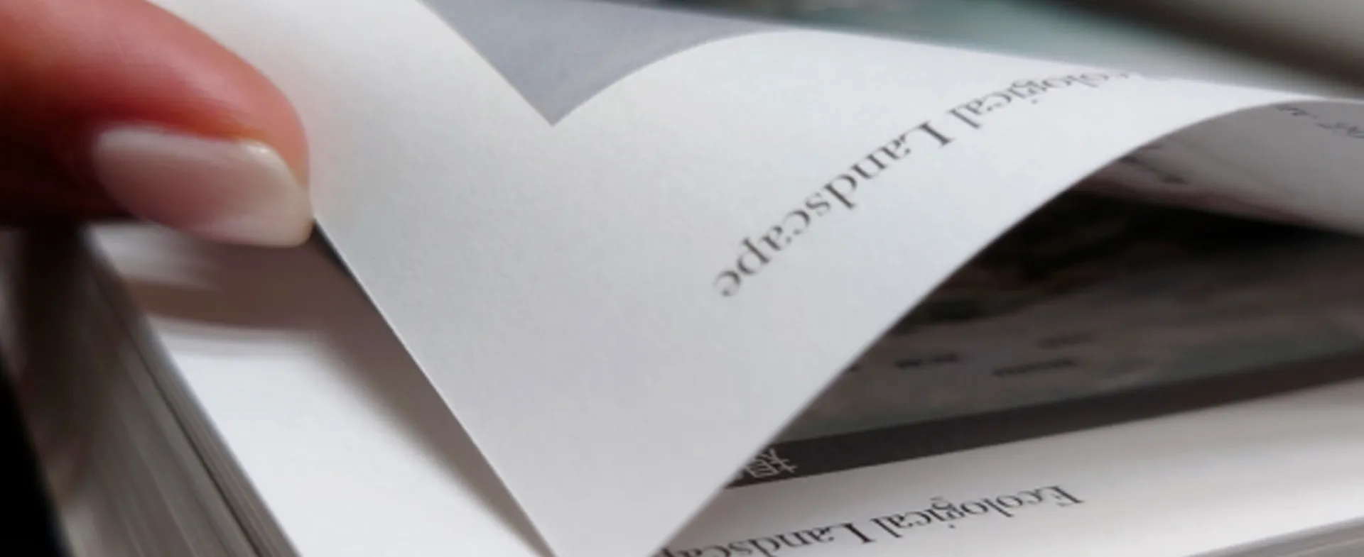 Soluciones de papel dorado para la Excelencia en impresión y publicación