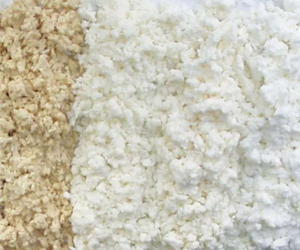 Una guía completa de tipos de pulpa y sus usos